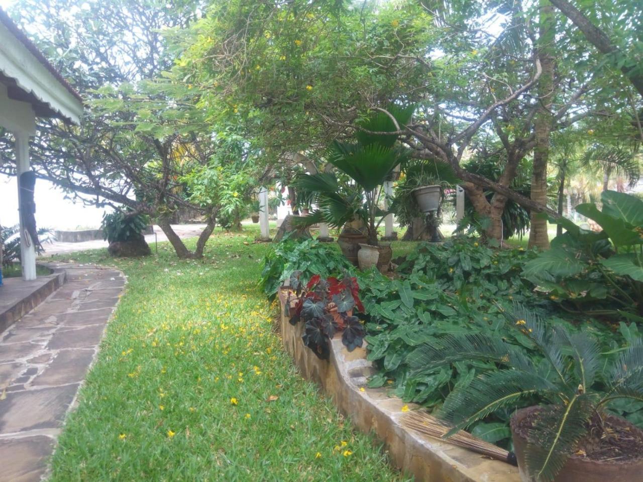 مبيت وإفطار واتامو Pashmina House المظهر الخارجي الصورة