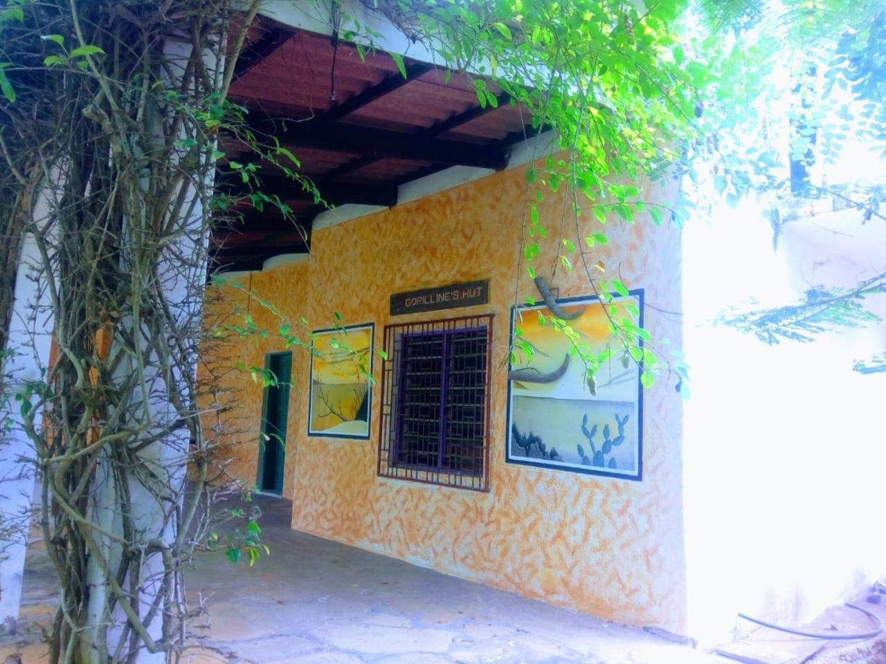 مبيت وإفطار واتامو Pashmina House المظهر الخارجي الصورة