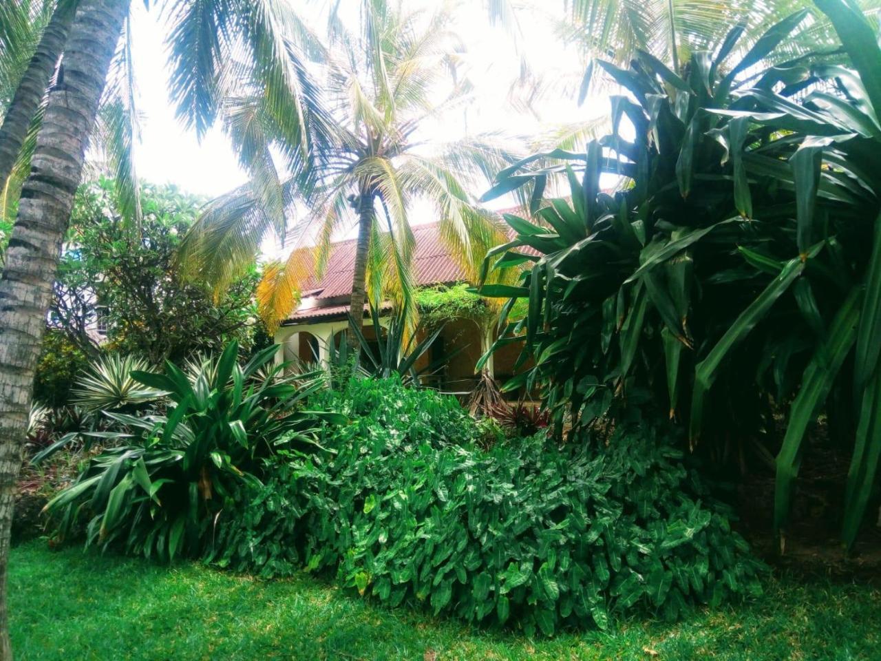 مبيت وإفطار واتامو Pashmina House المظهر الخارجي الصورة